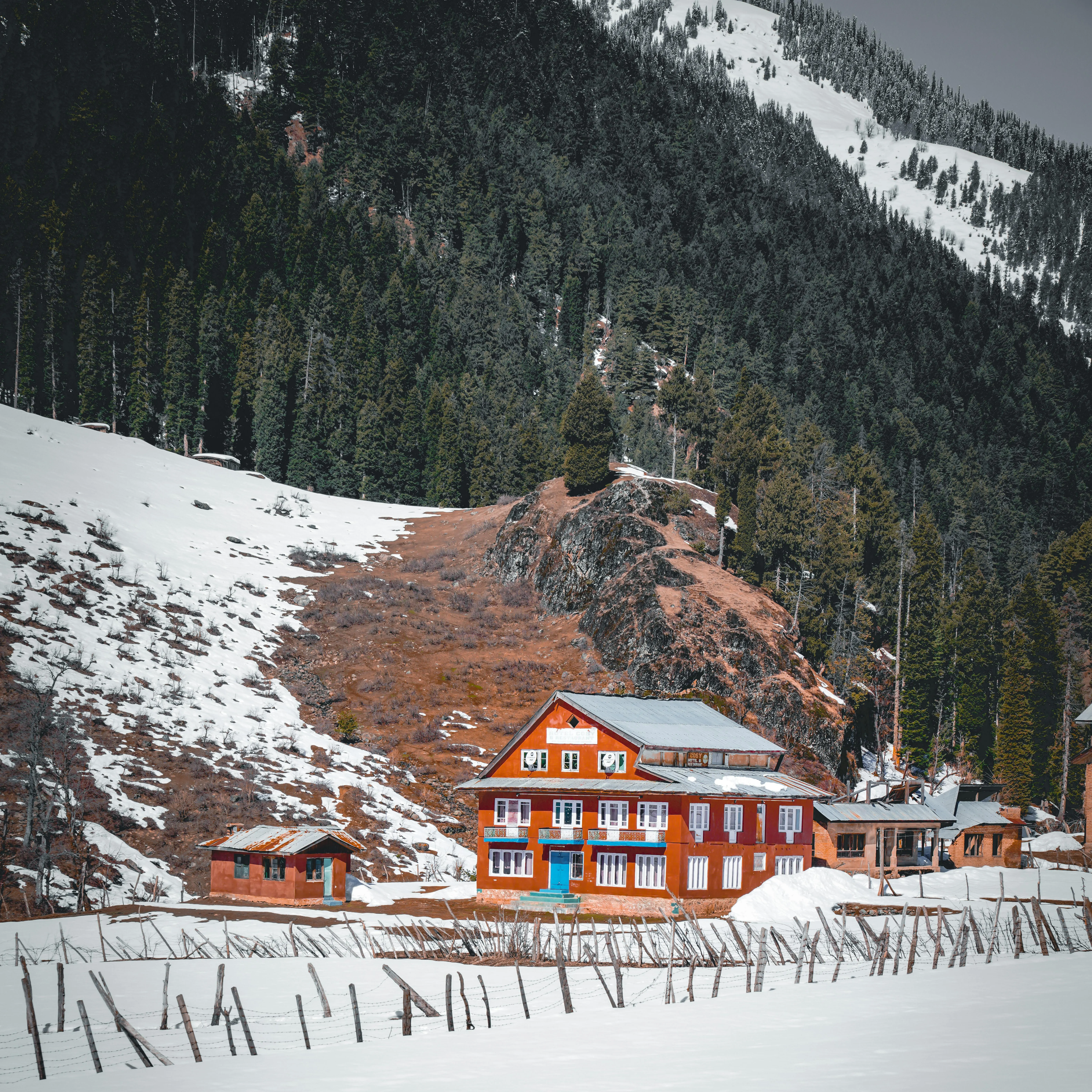 Elegant alpine lodge with snow field and pine trees in restrained colours